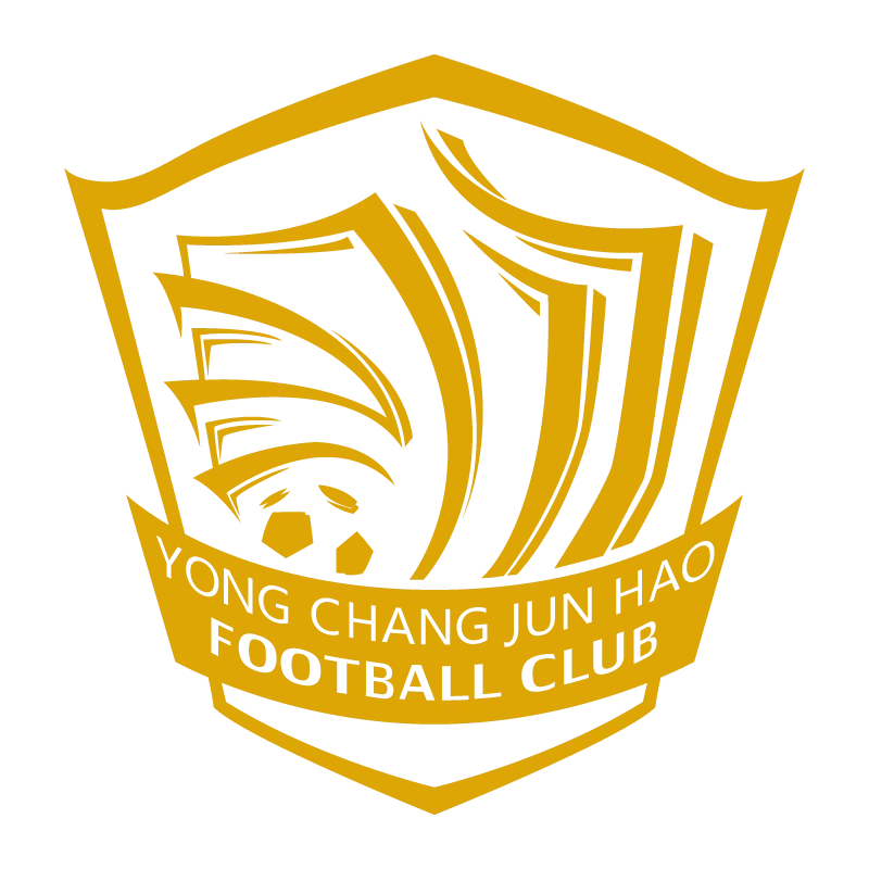 Cangzhou Mighty Lions Football Club - v2013