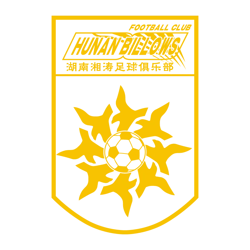 Hunan Billows Football Club - v2009