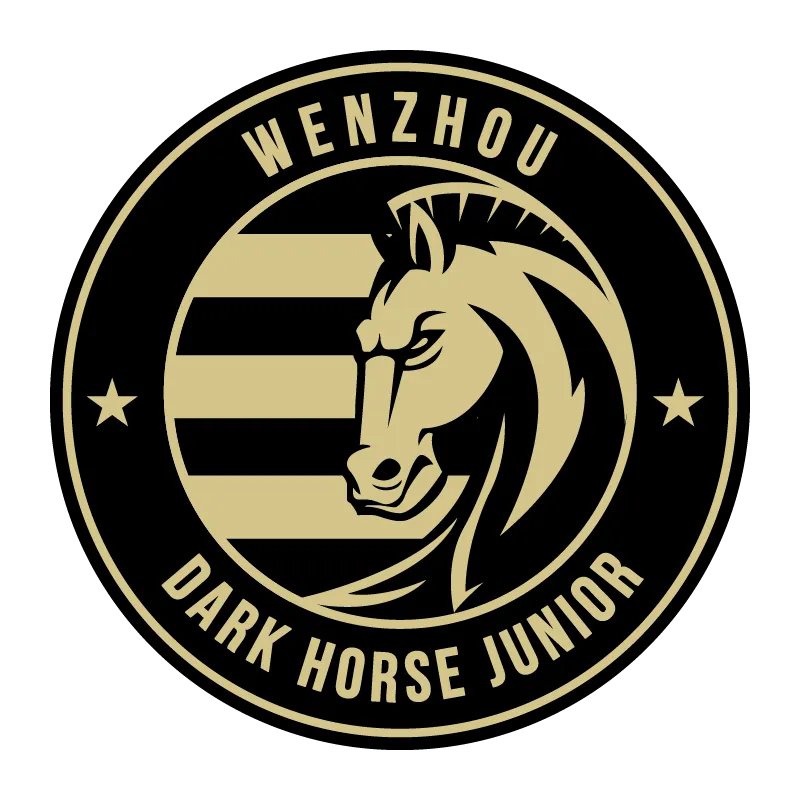 Wenzhou Professional Football Club - v2025