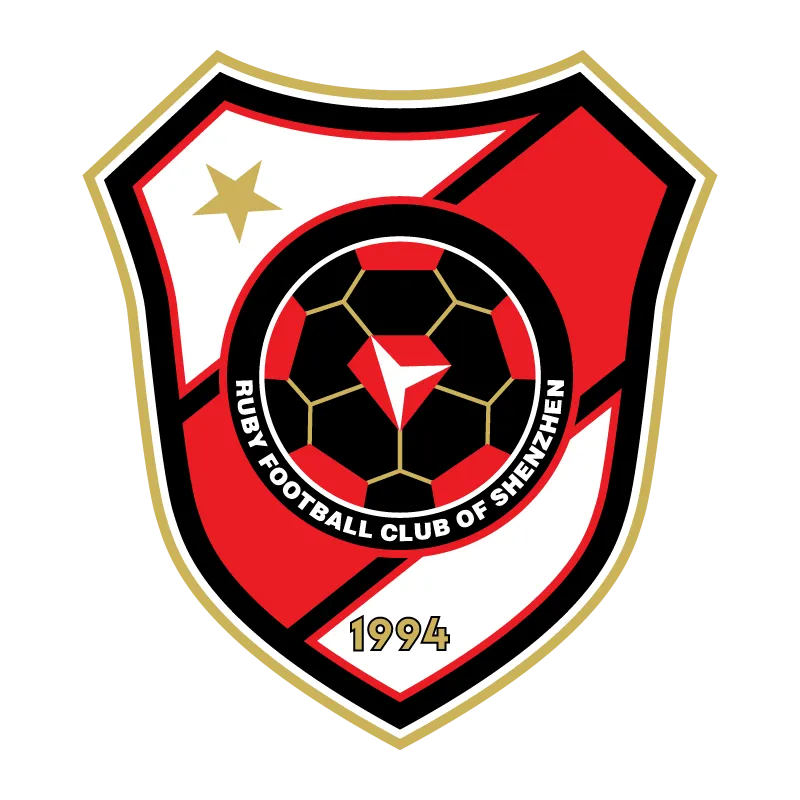 Shenzhen Football Club - v2010