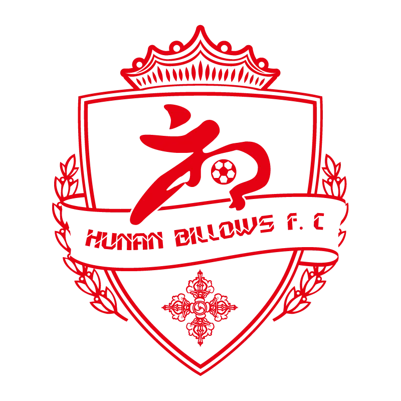 Hunan Billows Football Club - v2011