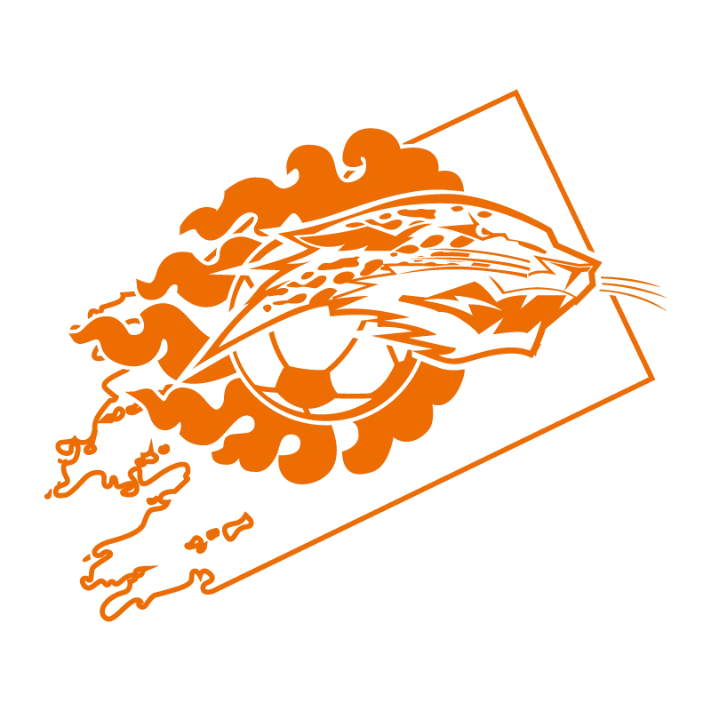 Lhasa Urban Construction Investment Football Club - v2017