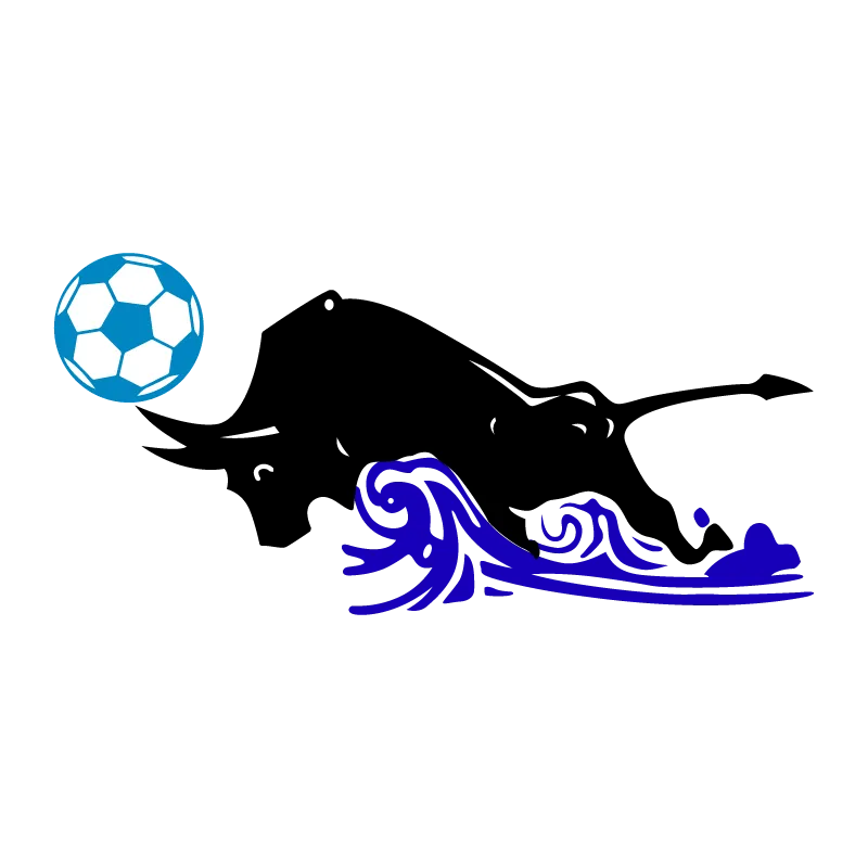 Qingdao Hainiu Football Club - v1995