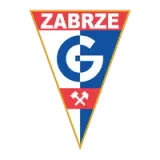 Górnik Zabrze Spółka Akcyjna - Color