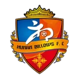 Hunan Billows Football Club - vundefined