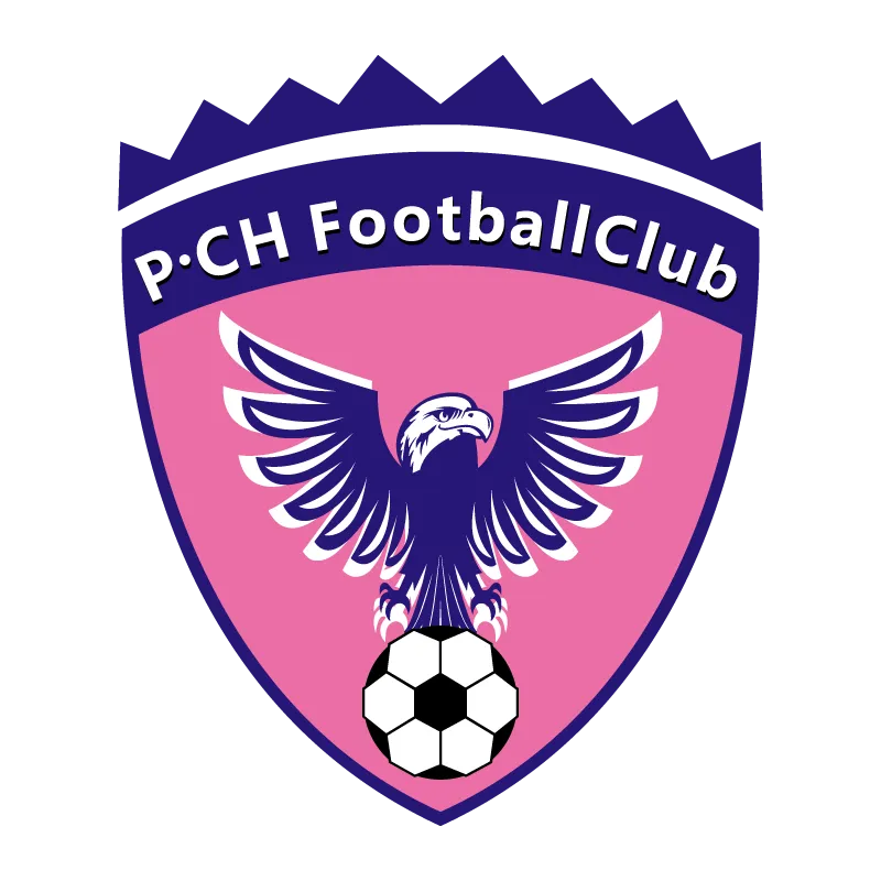 Shenzhen Pengcheng Football Club - v2016