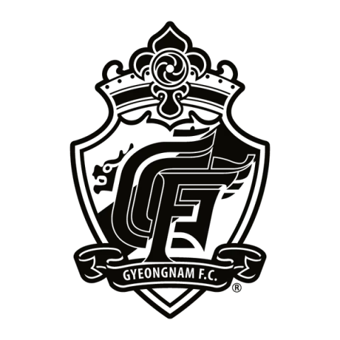 Gyeongnam Football Club