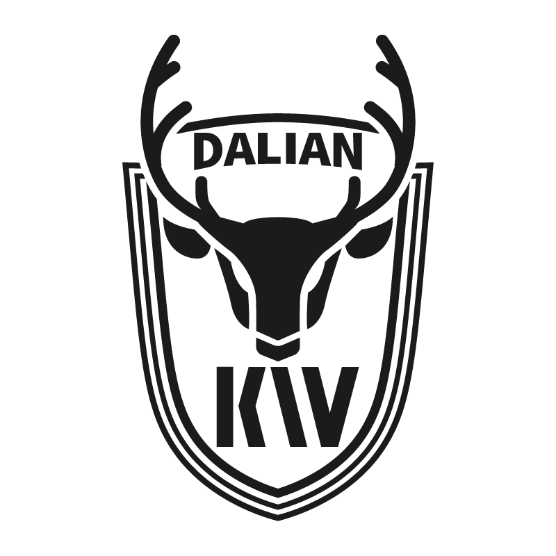 Dalian Kewei Football Club - v2024