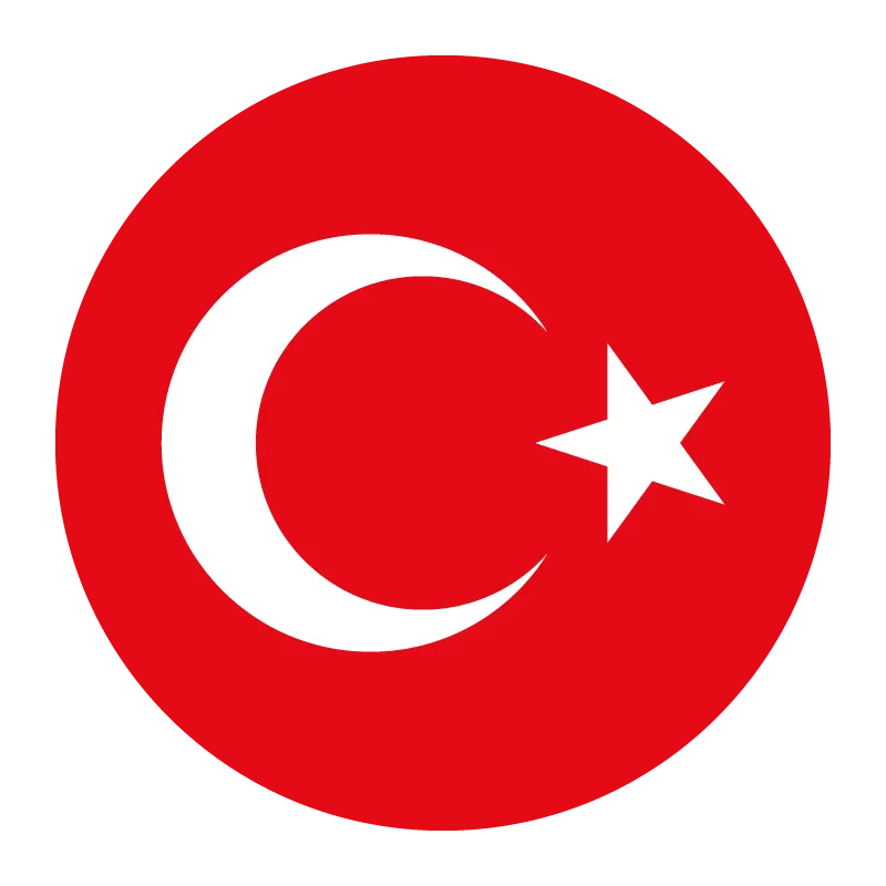 Turkey national football team - v2010