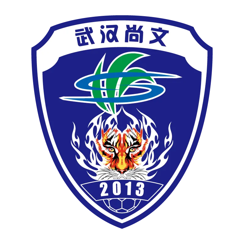Wuhan Three Towns Football Club - v2017