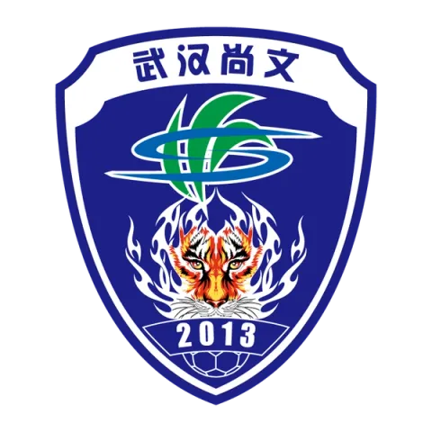 Wuhan Three Towns Football Club