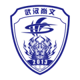 Wuhan Three Towns Football Club - vundefined