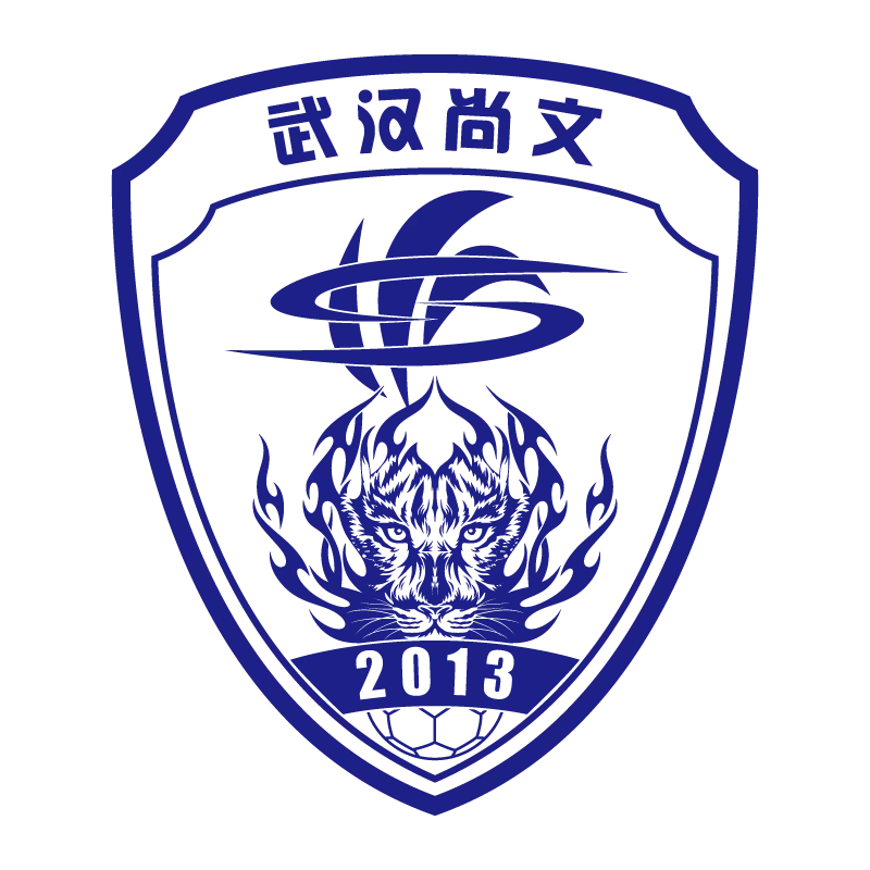 Wuhan Three Towns Football Club - v2017