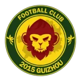 Guizhou Zhucheng Athletic Football Club - Color