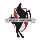 Roasso Kumamoto Football Club - vundefined