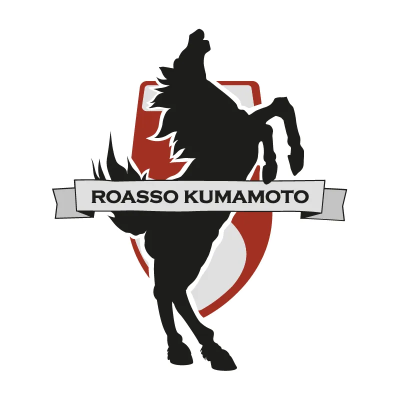 Roasso Kumamoto Football Club - v2005