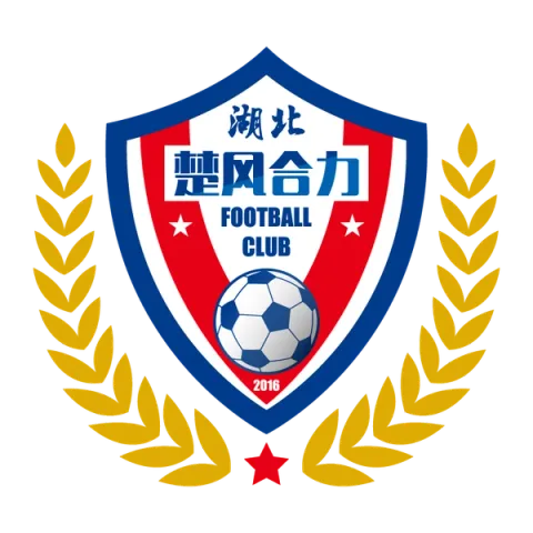 Hubei Istar Football Club