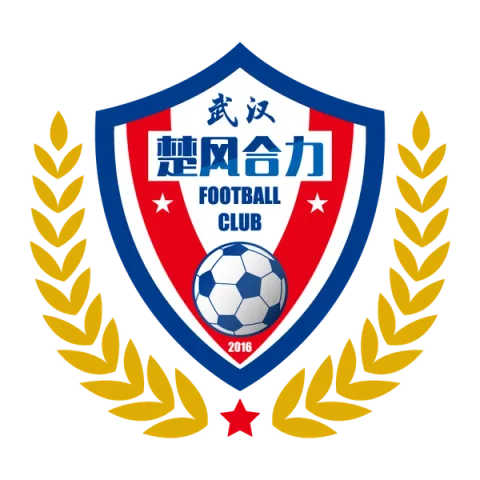 Hubei Istar Football Club