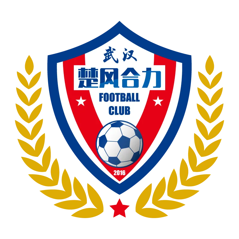 Hubei Istar Football Club - v2016