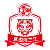 Yanbian Longding Football Club - vundefined