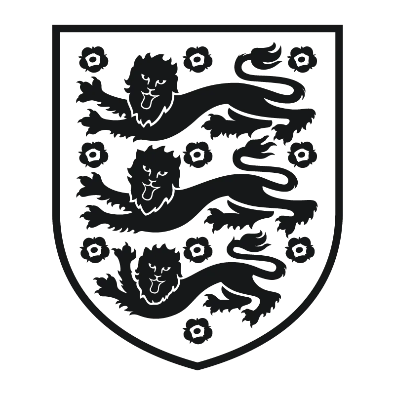 England national football team - v2013