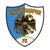 Erzurumspor Futbol Kulübü - Color