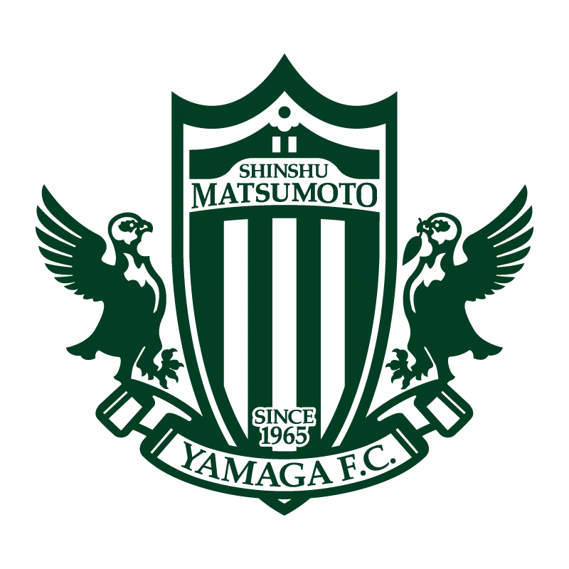Matsumoto Yamaga Football Club - v2011