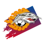 Lhasa Urban Construction Investment Football Club - vundefined