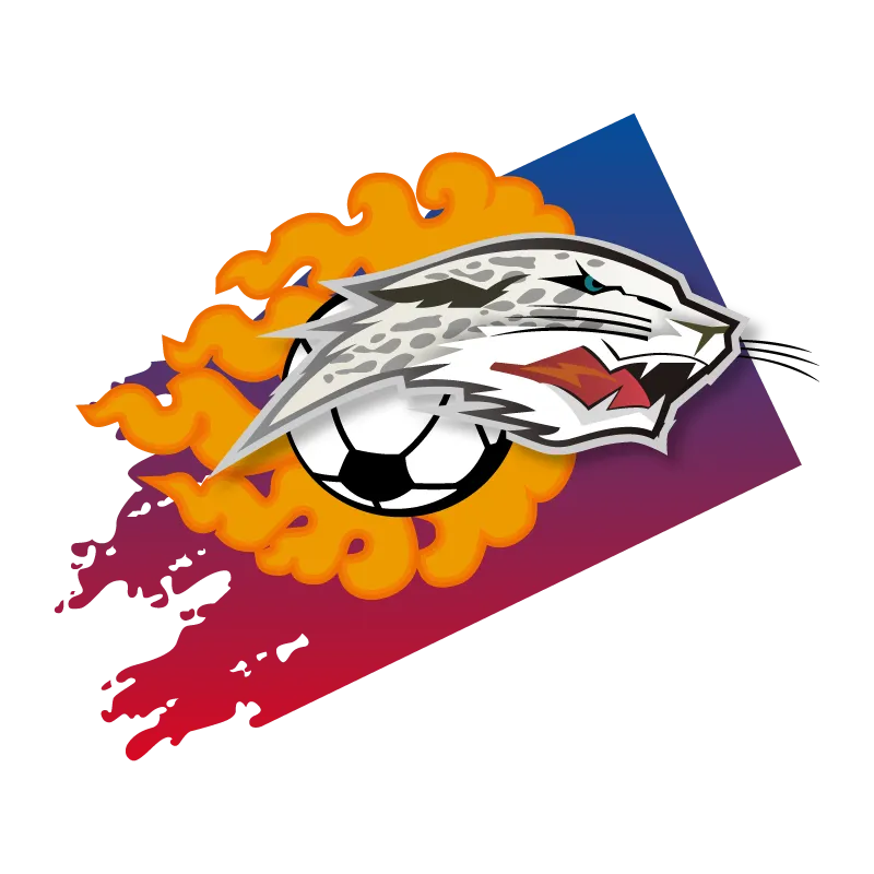 Lhasa Urban Construction Investment Football Club - v2017