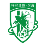 Tianjin Tianhai Footbal Club - vundefined