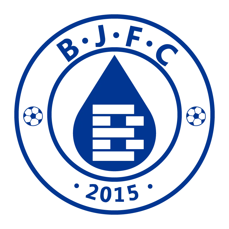Jilin Baijia Football Club - v2015