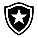 Botafogo de Futebol e Regatas - vundefined