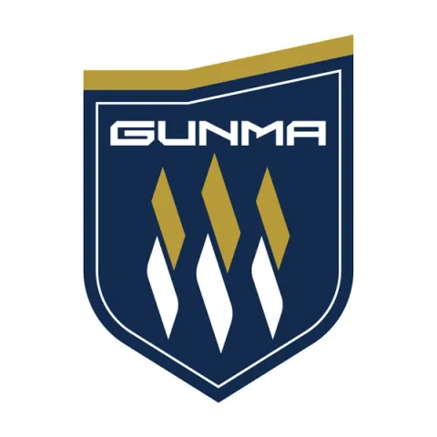 Thespa Gunma Football Club