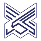 Xinjiang Silk Road Eagles Football Club - vundefined