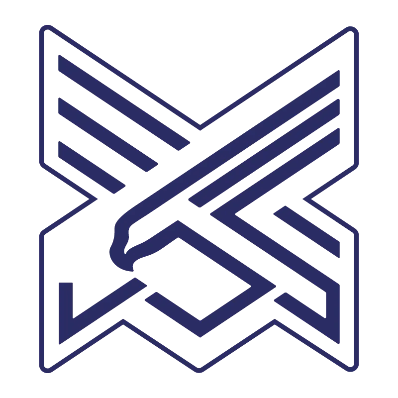 Xinjiang Silk Road Eagles Football Club - v2024
