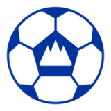 Shandong Taishan Football Club - Mono