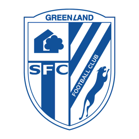 Shanghai Shenhua Football Club