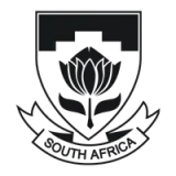 South Africa national soccer team - vundefined