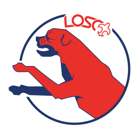Lille Olympique Sporting Club
