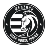Wenzhou Professional Football Club - vundefined