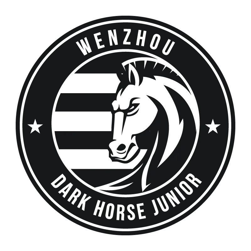 Wenzhou Professional Football Club - v2025