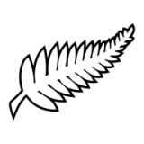 New Zealand national football team - vundefined