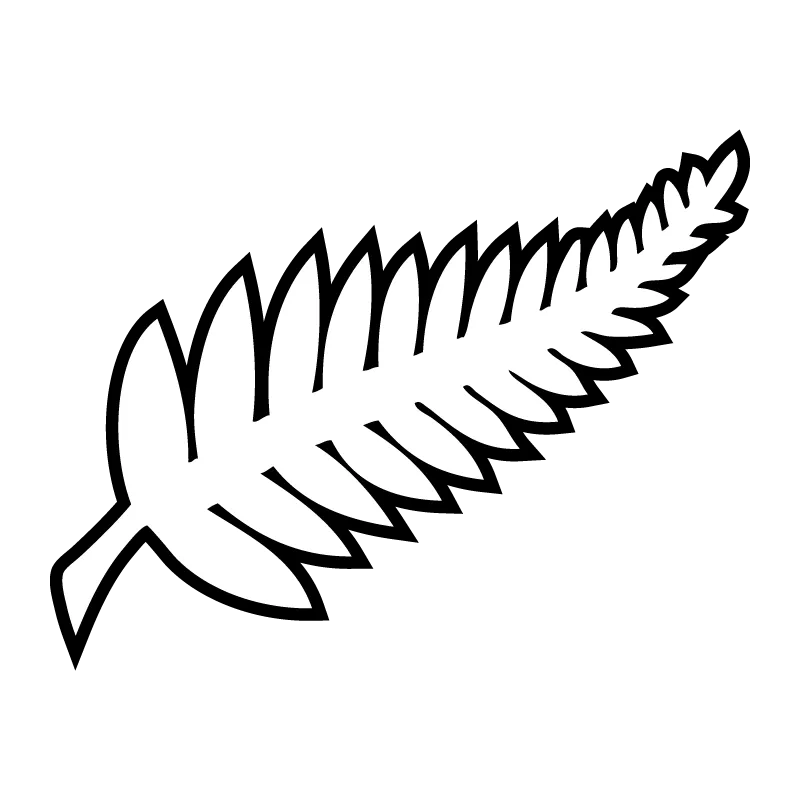 New Zealand national football team - v2022