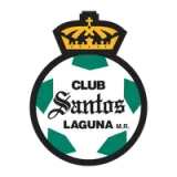Club Santos Laguna - Color