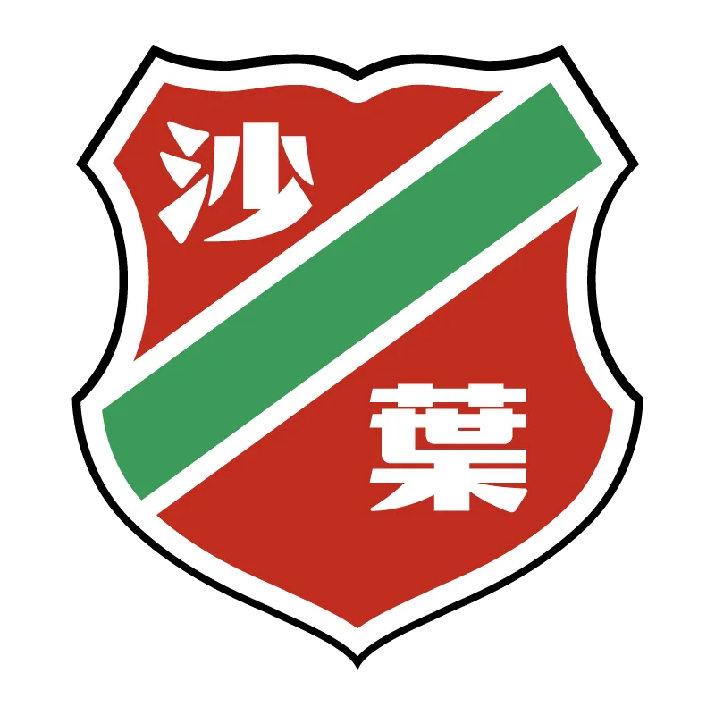 Nanjing Shaye Football Club - v2017