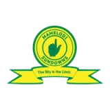 Mamelodi Sundowns Football Club - Color