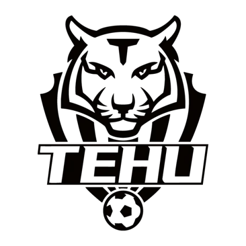 Nanjing Tiehu Football Club