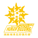 Hunan Billows Football Club - vundefined