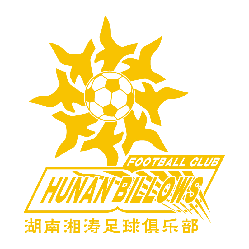 Hunan Billows Football Club - v2007