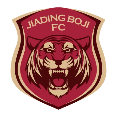 Ningbo Professional Football Club